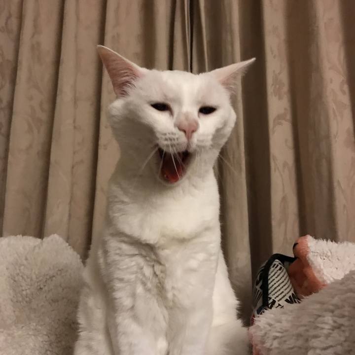 376ef8cd cd2c 4057 8d75 a91b79c07763 1558366754528