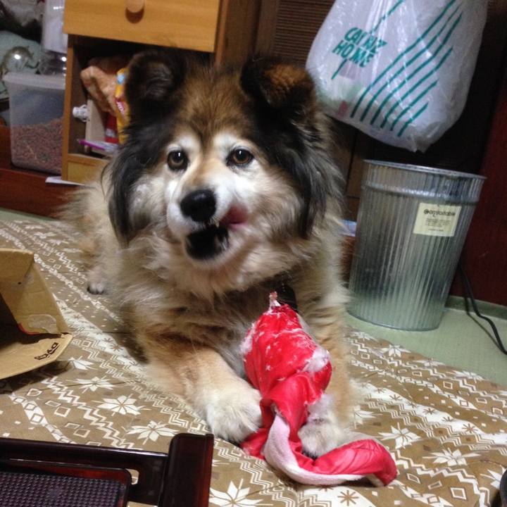 376f378f 8924 498f 9dd6 ca7b564d4bf8 1590024361123