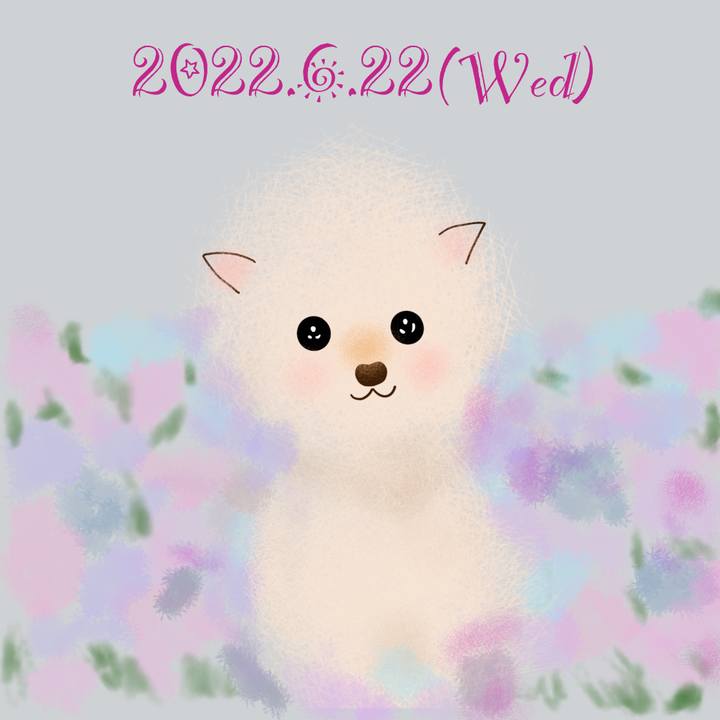 376f4eb1 33d3 4b48 9726 cd81ec58a47f 1655899122191