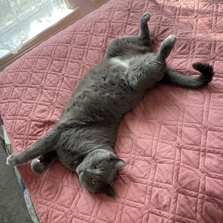 376f58ce 34c5 46b6 9869 027726a09124 1769274024505