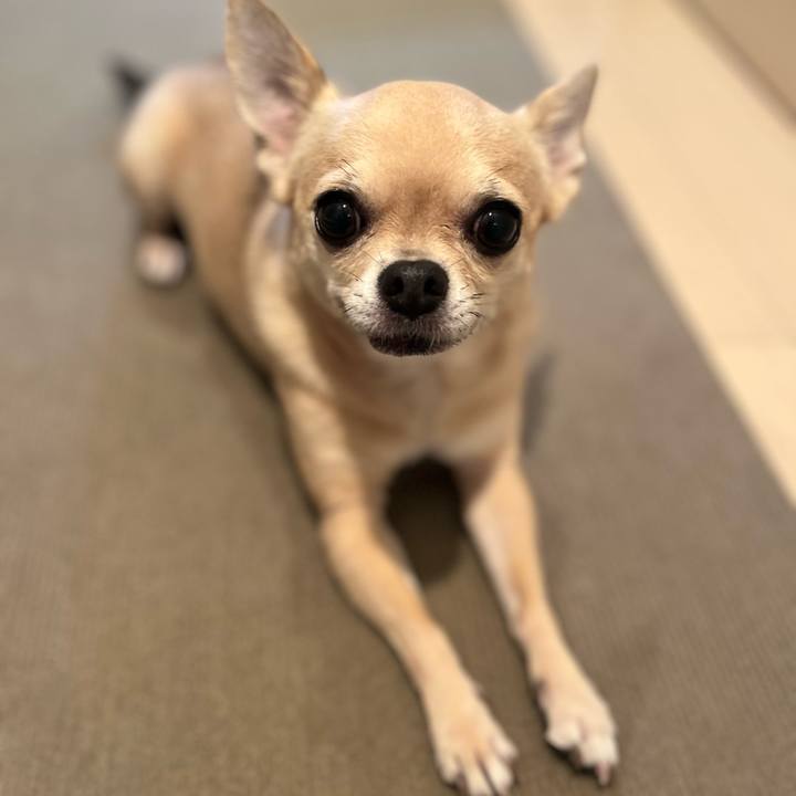 376f97ed 7345 44fa bbf9 38638ec6211f 1690932737686