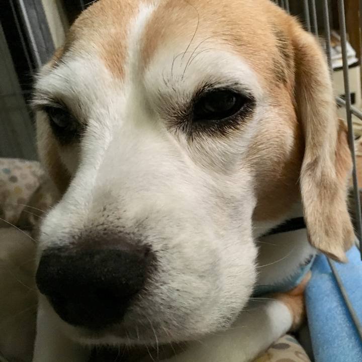 376f9abb 401d 4974 aef9 2b0d9220291e 1725664127512