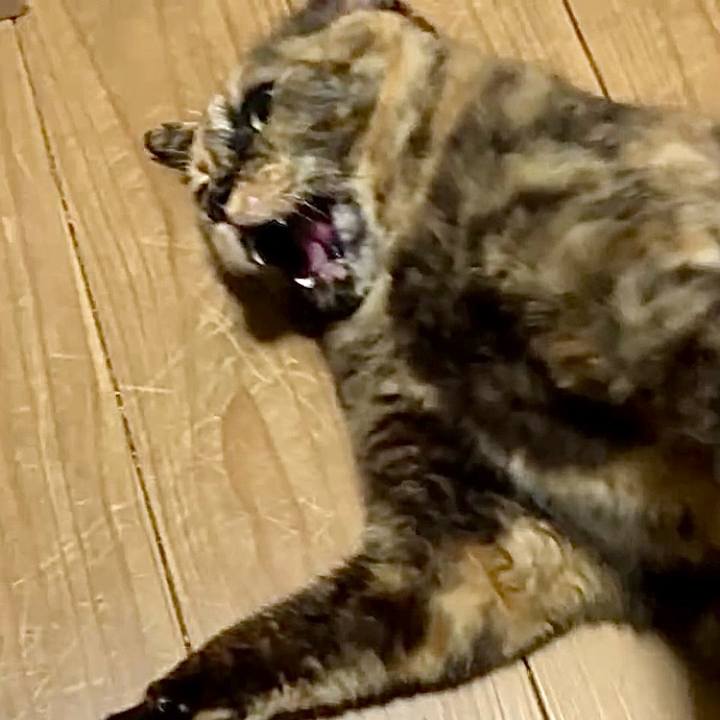 376f9ac2 c043 4e04 82f2 9162d836b0f7 1743077299007