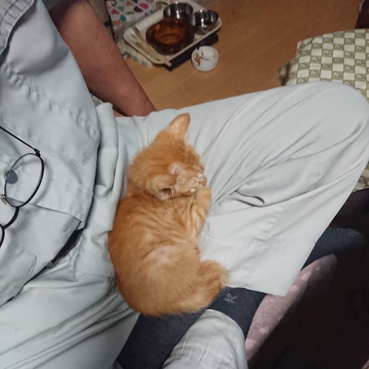 376fefbb 1760 45e8 83b7 5ccbf3b3c728 1628805726534