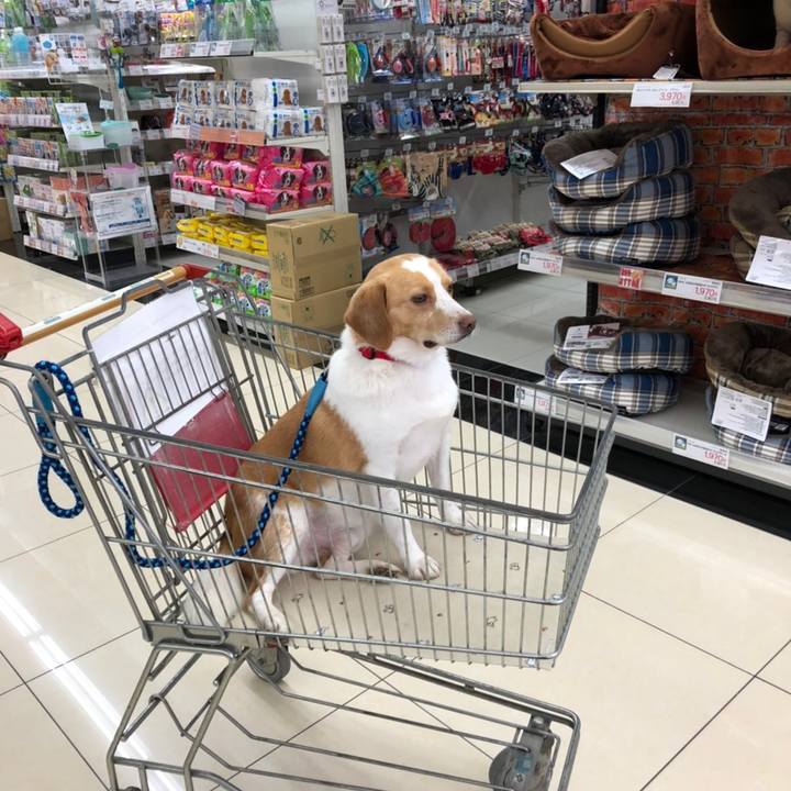 37701f47 bdd3 425f b7d2 214a59cff7dd 1618278655223