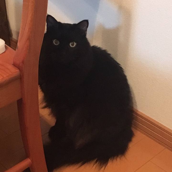 37706f59 2f90 4f80 8503 c0585c02ab70 1509754677143