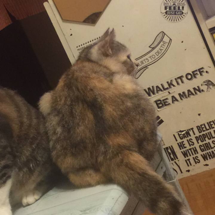 37707afd 8080 4515 a7b8 1b7b66cb56d9 1569589696780