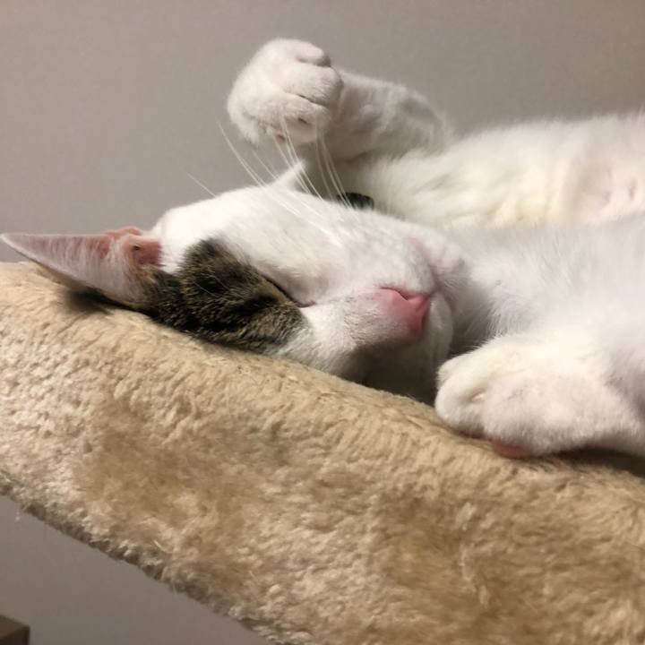 3770b5a5 8ce0 470b b02c 1767a43a3485 1568474074133