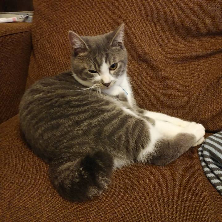 3770cb77 b420 4f15 a344 50b9934602f9 1571976738853