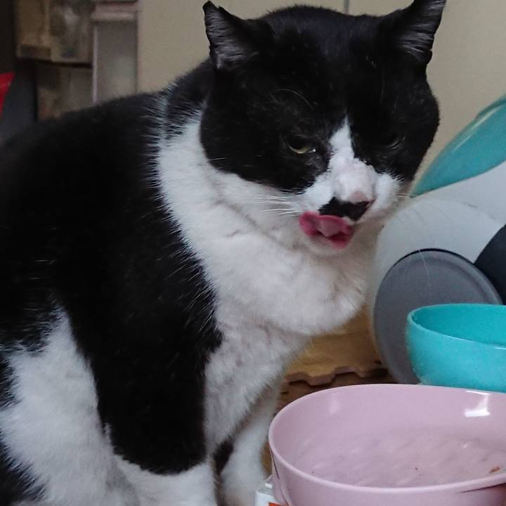 3770de1f dc0a 4d5d a953 9b8d3b656bd3 1667172582511