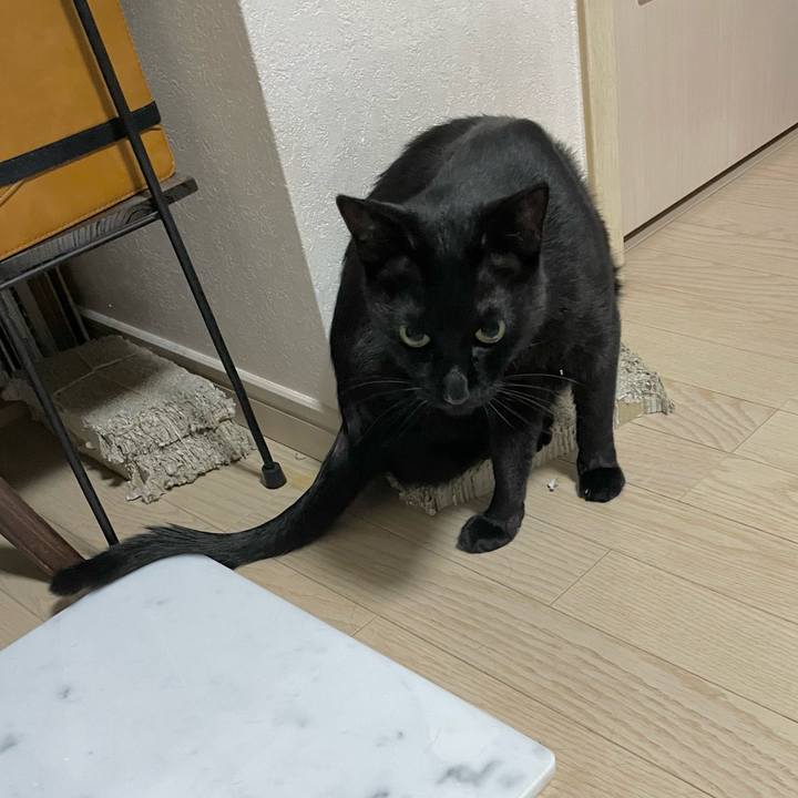 3770df11 eaef 46c5 909f 30e82914cb42 1659702358318