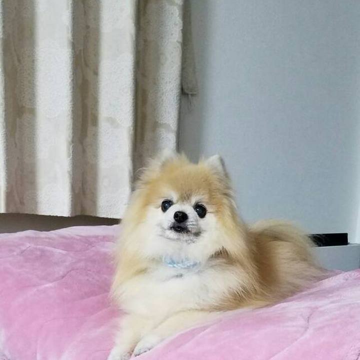 3770e0cb c735 48dc a735 ef1b5db74115 1679111778878