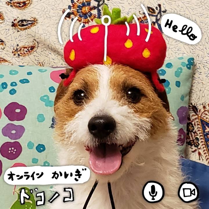 3770e66c 8ce2 439c 82dc 1feb5249836c 1591043415308