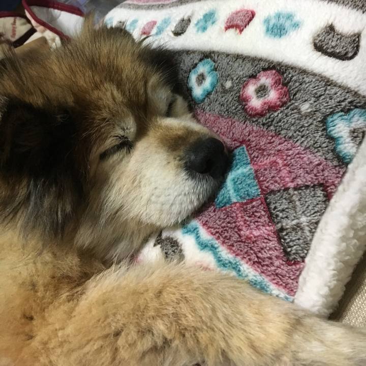 3770efaf 9017 4ef6 9ca6 c3451311a5a4 1584210406736