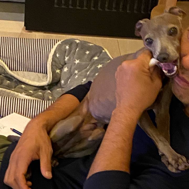 3771198b 1a54 44e1 9ea8 8eb4b4fa9df0 1761478171926