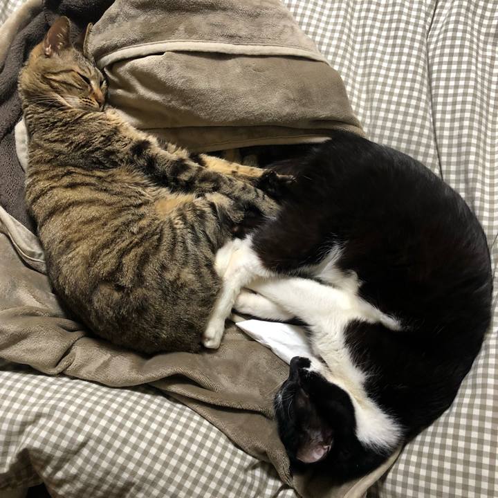 377165e1 3c10 4e25 a70d 6f2d6ee10d7a 1612212024712