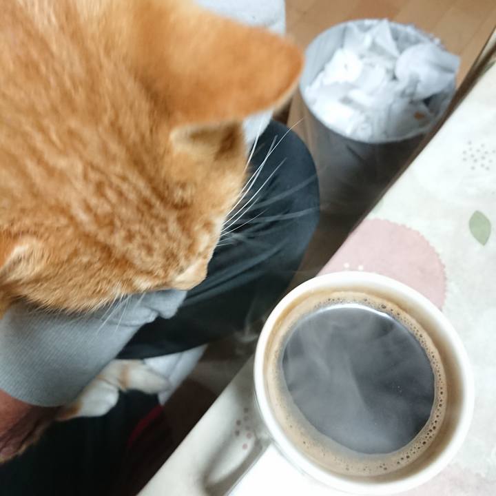 37718372 e574 4ef0 ac57 0c219ddf535d 1604518967744