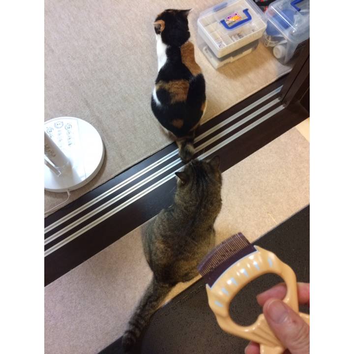 3771a831 13e3 4573 9791 0727c72d08cd 1594936866797