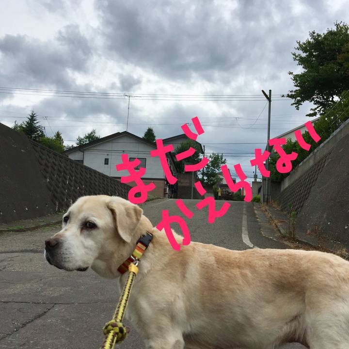 3771c0cc c7c3 49d0 aa69 b4b7a2198bb1 1530093606351