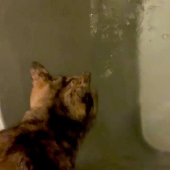 37720ffc 82b7 4027 bf5b de7408dc6d36 1763065493347