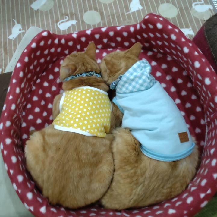 37727bc0 89a9 4551 8bcf 9ef5a1e6506a 1670225221535