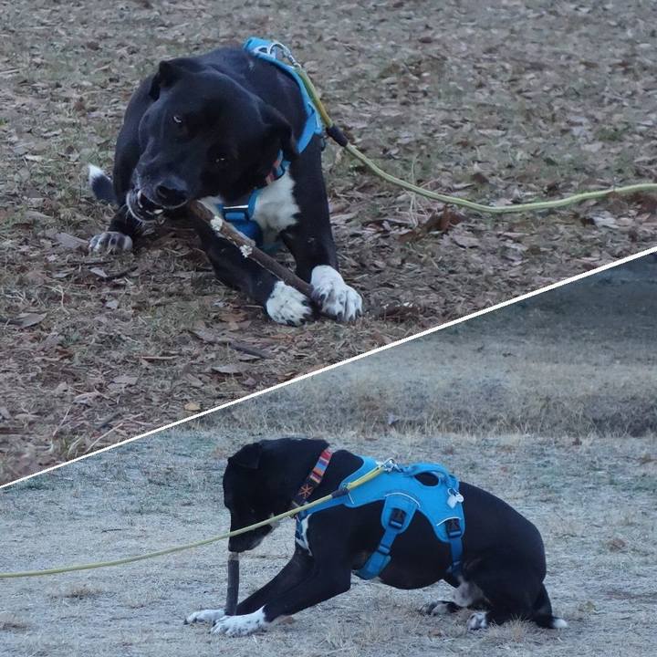 3772a223 ee3c 4321 ad16 8e6925c01a1c 1609460592669