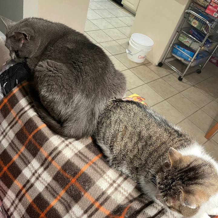 3772f4f2 d956 44be abe1 7db683f7c944 1735176291504