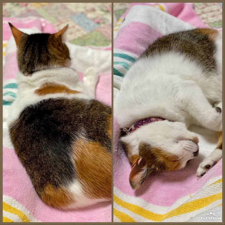 377317c9 6fb3 4727 922f 14ae8b52f138 1620445447077