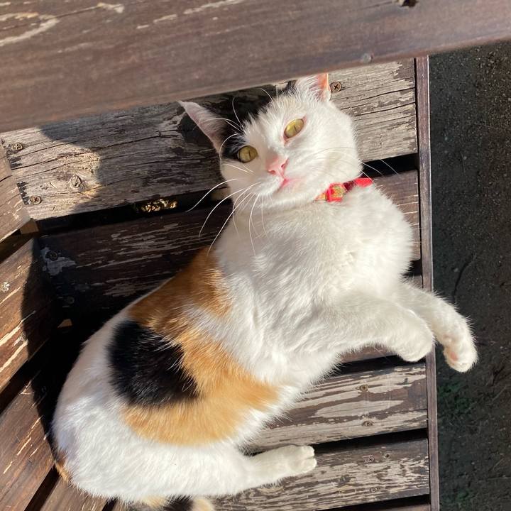 37733973 96b3 4229 803b 2487d2de8920 1640350432304