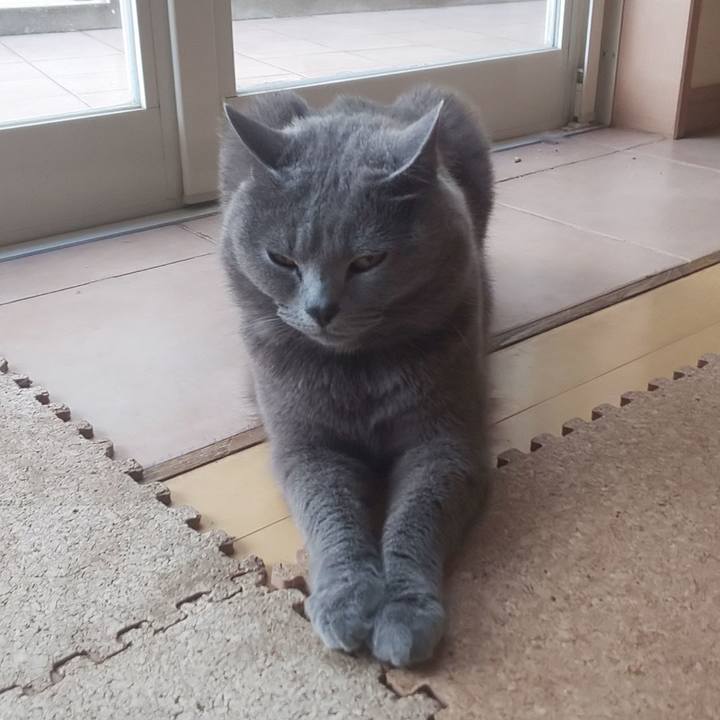 37733c1e 08db 4ed1 9c57 baa7077cc616 1560813939916