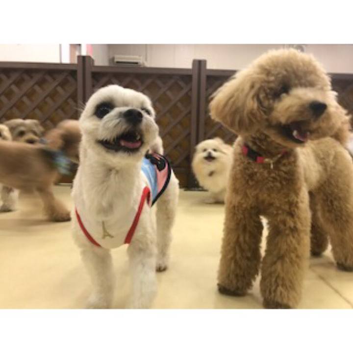 37734485 ef83 450a be23 97bf5c67f3ea 1529319762130