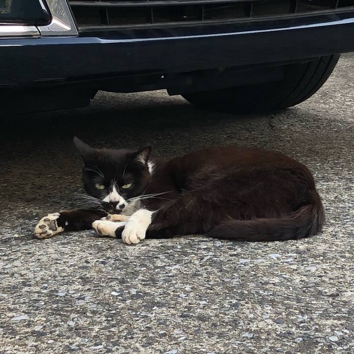 37737964 75ac 4295 8d47 eedb6e02b57b 1528549937961