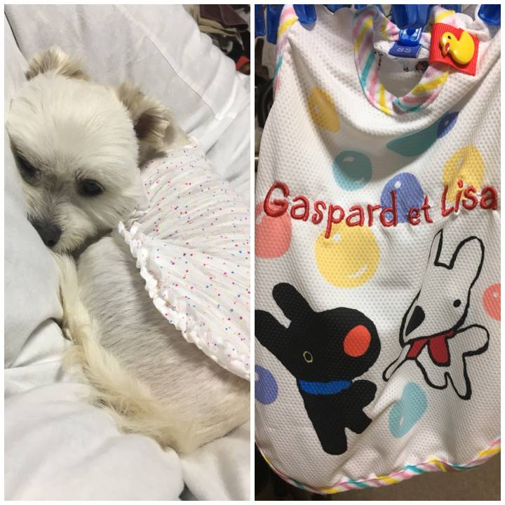 3773be68 5c75 4422 ad31 68158e875f08 1524918372911