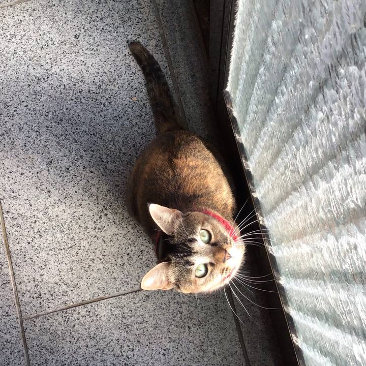 37740e4b b8b0 46ae 8d23 b99dc5f7fa19 1603689683757