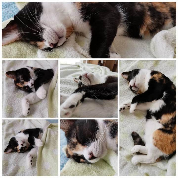 37746619 c572 4735 addd 3aad4bc97d28 1631001417551