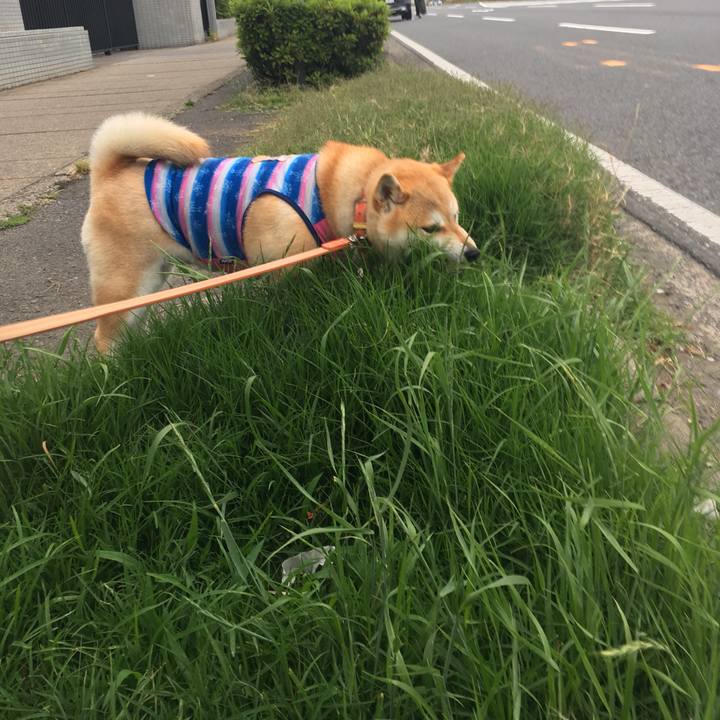 3774a700 a913 43e9 87bf e8130e27b159 1559465595638