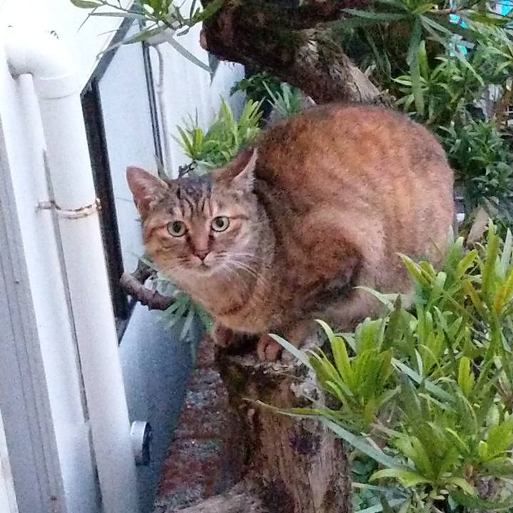 3774c2dd f2c8 4564 a93b fb6bdca91ac4 1547647903305