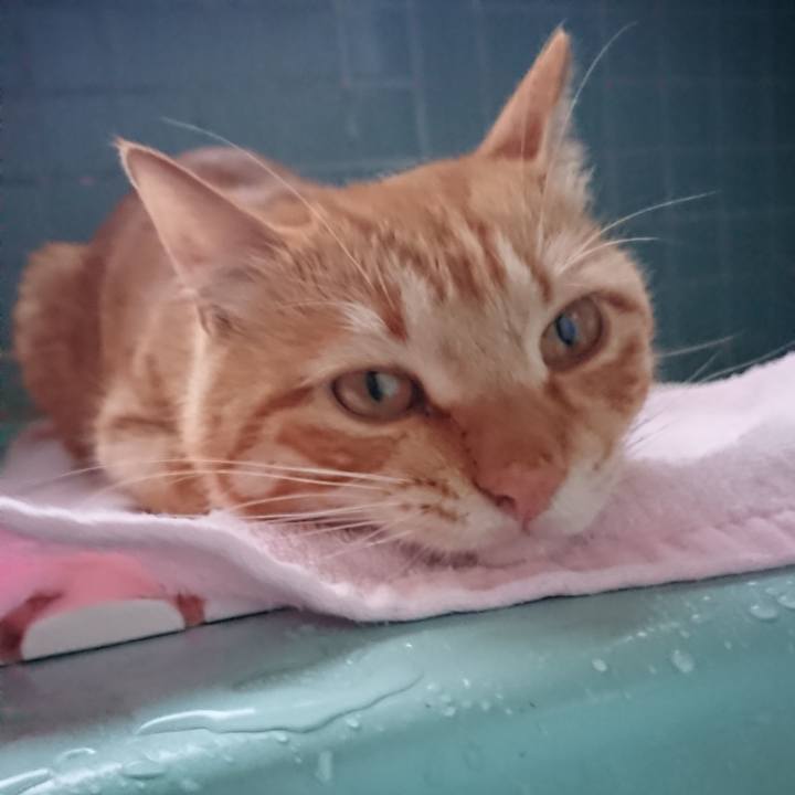 3774c673 3f91 426f 9bb7 ae515349b9ff 1649668948379