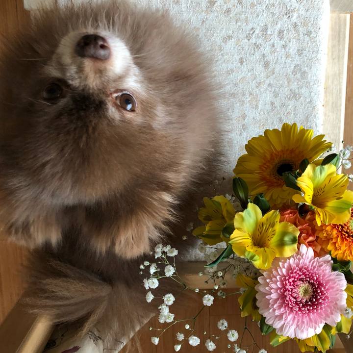 3774d45d 322f 4bfd a239 a1f5e58797e4 1586656827809