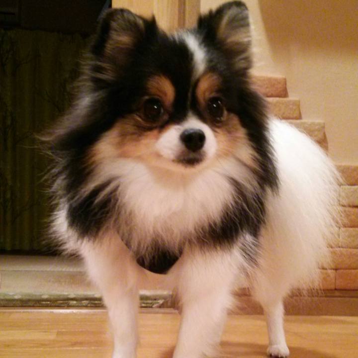 3774f1cb 2f7b 45d8 ba74 9cd9257a6e8c 1509106480568