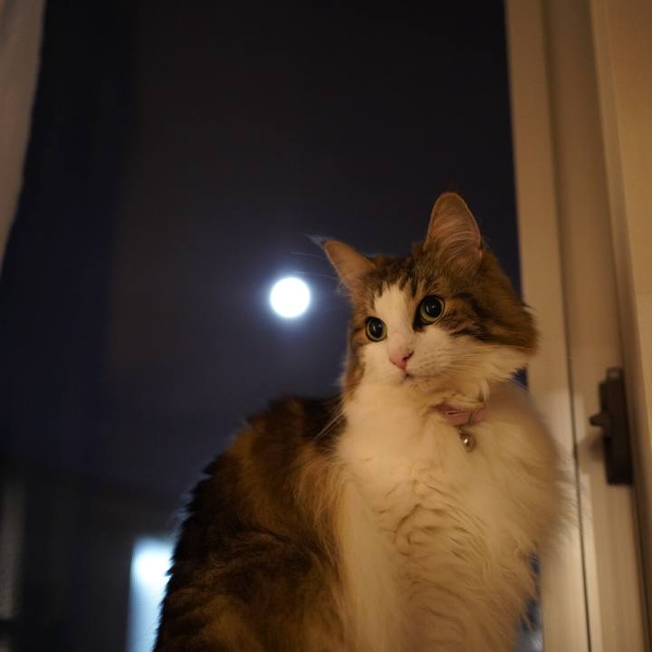 377506b1 242a 413a a4b8 c824d52984e9 1629383150697