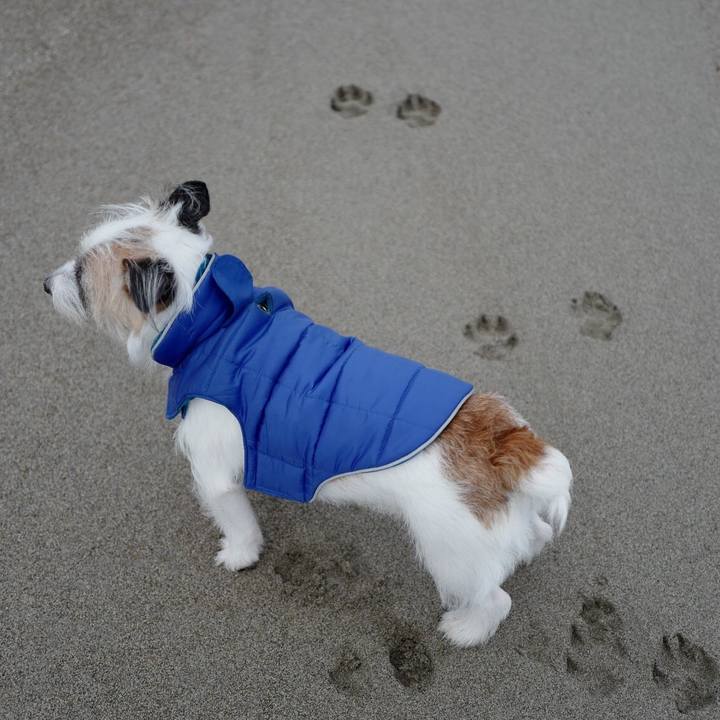 37756e0b 473c 4417 aa40 2b305cacd6b5 1546836994924