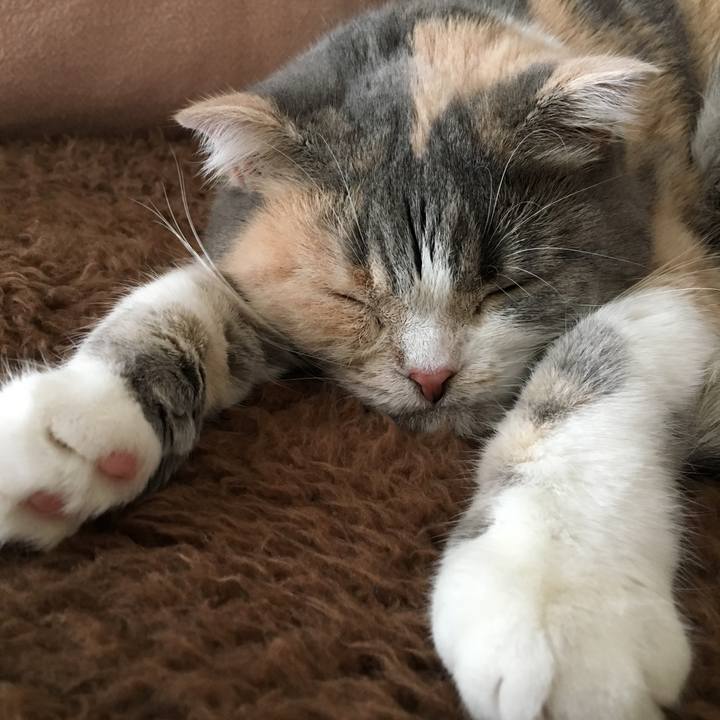 3775740f a262 4c87 b067 df75f2e8c049 1538990591411