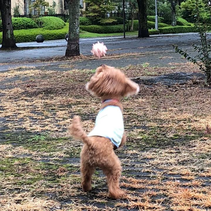 37758726 ee90 4384 ae5f b2574ce88e2c 1569242615900