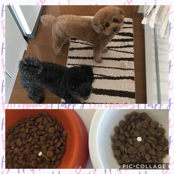 3775b2f4 3423 49ca b8e7 a59198cb06ab 1601538636143