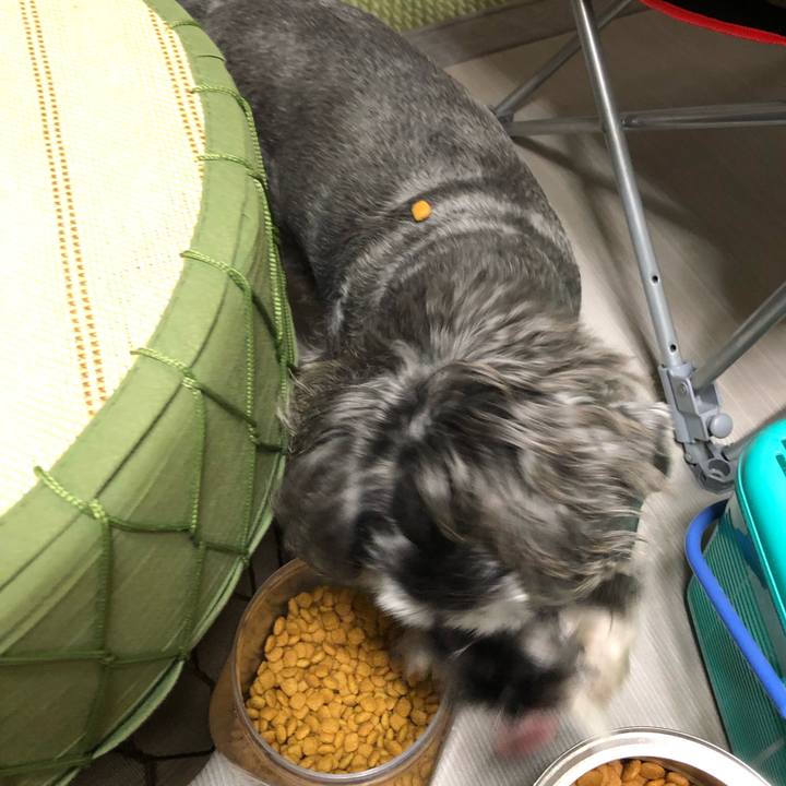 3775def4 77d3 4d08 91c8 611194ef887c 1573128438026