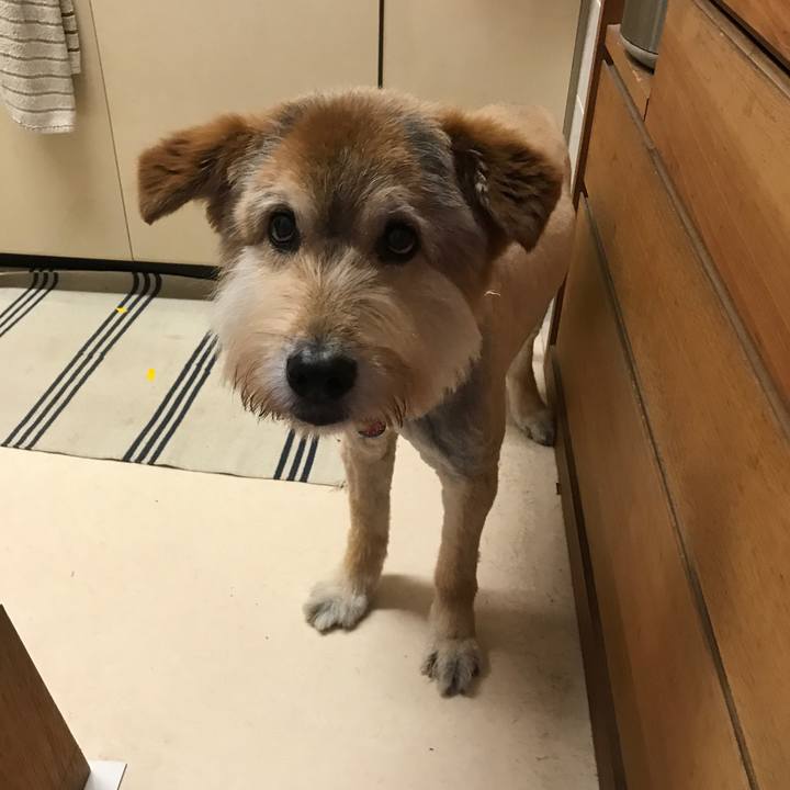 3775fbf0 34b2 4f8c 971b 7629eb72da9a 1594083032076