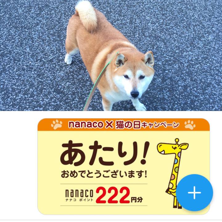 37760664 7a44 4fd5 bd5f 33a47f4d8ef1 1645875107126