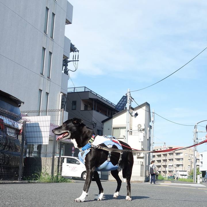 37761cba 75c6 4e92 9de1 1b8986f52750 1721434204205