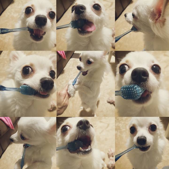 3776361e 189c 403e bf76 76133ee09d22 1513456144502